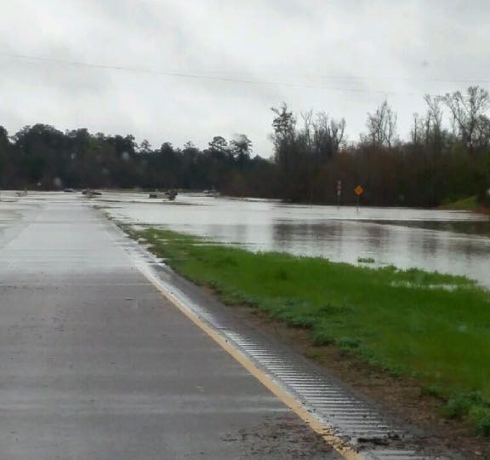 Highway 392 SabineParish LSP