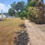 'Miracle from God' saves Brushy Creek Baptist Church from wildfire
