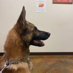LCU welcomes new K9 officer to campus