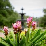 LCU announces new faculty, promotions