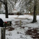 Mt. Nebo Baptist Church, Roseland.