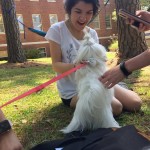 A Louisiana College student enjoys a break from final exams at the Paws Up event.