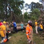 Louisiana Baptist Disaster Relief team members and other members of the community clean up a yard that received damage from an EF3 tornado in Ruston.