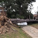 A tree crushed a vehicle in Ruston, where an EF3 tornado touched down. Rolling Hills photo