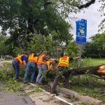 Crews cleared a tree off the roadway on the Louisiana Tech University campus Thursday, April 25, 2019. Louisiana Tech photo