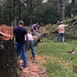 A chainsaw team from Bonita Road Baptist Church in Bastrop removes debris from a property. Casey Johnson photo/Taken Sept. 18.