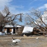 Hurricane Laura transformed this property into a field of broken trees and damaged home in the Cameron-Holly Beach area. Norm Miller photo/Taken Sept. 12.