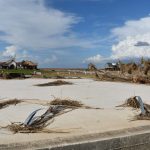 Hurricane Laura ripped up a home from its foundation leading in to Cameron. Norm Miller photo/Taken Sept. 12.