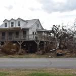 Hurricane Laura destroyed half of a tree near a home in Cameron. Norm Miller photo/Taken Sept. 12.