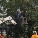 An Eastern Louisiana Baptist Association chainsaw team member cuts limbs from a tree in southwest Louisiana. Johnny Morgan photo/Taken Sept. 18.