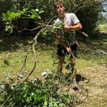 An LSU BCM member clears debris at the home of fellow member Taylor Moses. Steve Masters photo/Taken Aug. 30.