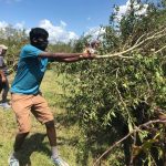 An LSU BCM member moves limbs at the home of Taylor Moses in Longville. Moses is a member of the BCM. Steve Masters photo/Taken Aug. 30.