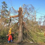 An LSU BCM member cuts tree limbs on the property of Taylor Moses, a fellow member whose home in Longville was heavily damaged by Hurricane Laura. Steve Masters photo/Taken Aug. 30.