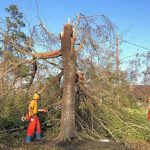 An LSU BCM member cuts tree limbs on the property of Taylor Moses, a fellow member whose home in Longville was heavily damaged by Hurricane Laura. Steve Masters photo/Taken Aug. 30.