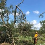 An LSU BCM member cuts a tree that fell on the home of fellow member Taylor Moses in Longville. Steve Masters photo/Taken Aug. 30.