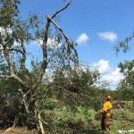 An LSU BCM member cuts a tree that fell on the home of fellow member Taylor Moses in Longville. Steve Masters photo/Taken Aug. 30.