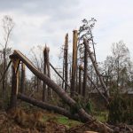 A park in Lake Charles was nearly unrecognizable after trees overtook it. Steven Haney, Louisiana Baptist Communications, photo/Taken Sept. 2.