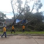 A chainsaw team from Live Oak Baptist Church in Denham Springs prepared to remove a fallen tree from a property in southwest Louisiana. Live Oak Baptist photo/Taken Sept. 10.