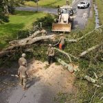 The Louisiana National Guard cleared fallen trees off a road. Louisiana National Guard photo/Sept. 1.