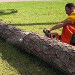 A Southern Baptist Disaster Relief team member cut through one of thousands of trees that fell throughout areas impacted by Hurricane Laura. SBC photo/Taken Sept. 10.