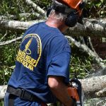 John McClendon, a South Carolina Baptist Disaster Relief team member from Edgefield Baptist Association, cut through a tree that fell on the parsonage at Simpson Baptist Church in Simpson. No one was at home when the tree fell on the building. Brian Blackwell photo/Taken Sept. 1.