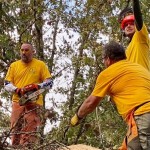 Mosaic team members prepare to work on a site in Rapides Parish that was damaged by recent hurricanes. Mosaic photo