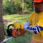 Scott Belmore, University of Alaska-Anchorage Mosaic campus ministry director, cuts through a tree at a property in Pineville. Brian Blackwell photo