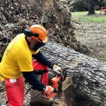 A Mosaic team member cuts through a tree that fell on a property in Rapides Parish. Mosaic photo