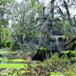 Debris filled the yard of this home in southeast Louisiana. Baptist Message photo
