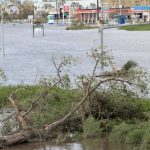 Scenes like this were common throughout southeast Louisiana after Ida made landfall. Entergy New Orleans