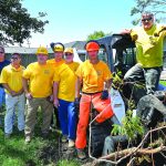 An Alabama Disaster Relief chainsaw team cut through a tree at a home in Belle Chasse. Patrick Dennis photo