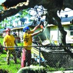 An Alabama Disaster Relief chainsaw team cut through a tree at a home in Belle Chasse. Patrick Dennis photo
