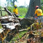 An Alabama Disaster Relief chainsaw team cut through a tree at a home in Belle Chasse. Patrick Dennis photo