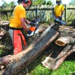 An Alabama Disaster Relief chainsaw team cut through a tree at a home in Belle Chasse. Patrick Dennis photo