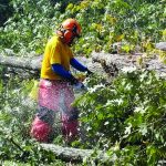 An Illinois Baptist Disaster Relief chainsaw team member helped with recovery efforts.