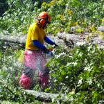 An Illinois Baptist Disaster Relief chainsaw team member helped with recovery efforts.