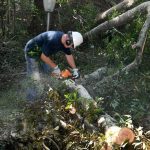 A Mississippi Baptist Disaster Relief team member cut through a tree in Lacombe. Patrick Dennis photo
