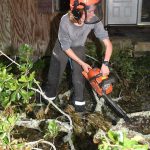 A 'weekend warrior' cuts through a tree in Lacombe. Patrick Dennis photo