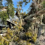 This tree fell onto the roof of a home in Madisonville. Lane Corley photo