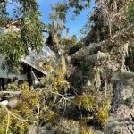 This tree fell onto the roof of a home in Madisonville. Lane Corley photo