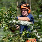 A Texas Baptist Disaster Relief team member cut through a tree near St. Amant. Patrick Dennis photo