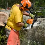 A Texas Baptist Disaster Relief team member cut through a tree near St. Amant. Patrick Dennis photo