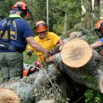 Texas Baptist Disaster Relief chainsaw team members cut through a tree near St. Amant. Patrick Dennis photo