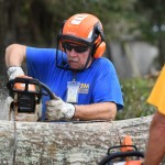A Texas Baptist Disaster Relief team member cut through a tree near St. Amant. Patrick Dennis photo