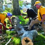 South Carolina Baptist Disaster Relief team members cut through a fallen tree in Belle Chasse. Patrick Dennis photo