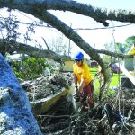 South Carolina Baptist Disaster Relief team members cut through a fallen tree in Belle Chasse. Patrick Dennis photo