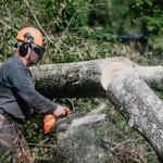 Tennessee Baptists from the Knoxville area have worked on a chainsaw team in the Hammond, Louisiana, area rain or shine the week of Sept. 12. TAB Media photo