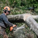Tennessee Baptists from the Knoxville area have worked on a chainsaw team in the Hammond, Louisiana, area rain or shine the week of Sept. 12. TAB Media photo