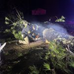 High winds blew down this tree in Livingston Parish. Livingston Parish Sheriff's Office photo