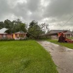 High winds blew a tree onto a home in Livingston Parish. Livingston Parish Sheriff's Office